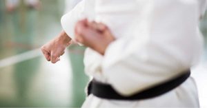 estilo de karate shito ryu